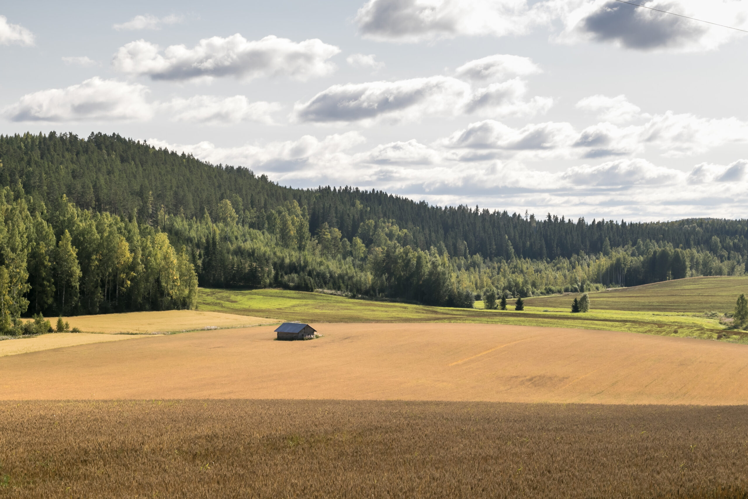 Maaseutuhallinto siirtyy Lempäälän kunnan järjestämäksi 1.1.2025 alkaen.